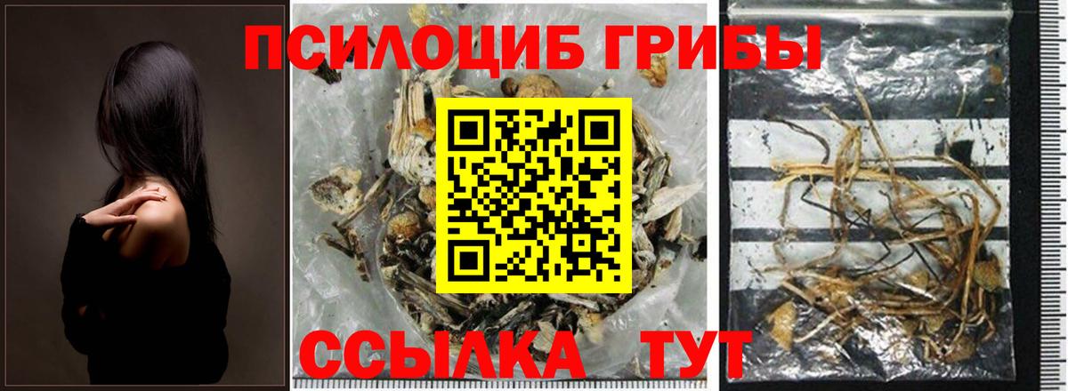 Йошкар-Ола  Псилоцибиновые грибы ЛСД  Галлюциногенные грибы Psilocybine cubensis  Вход с VPN 